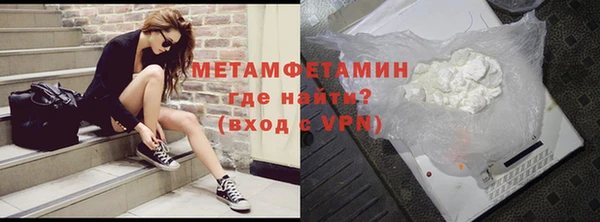 шишки Гусев