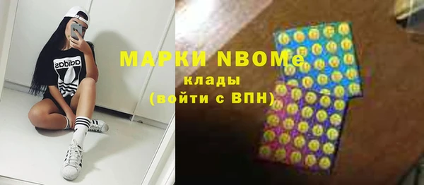 стаф Горняк
