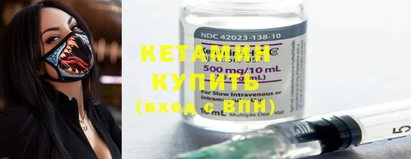 шишки Гусев