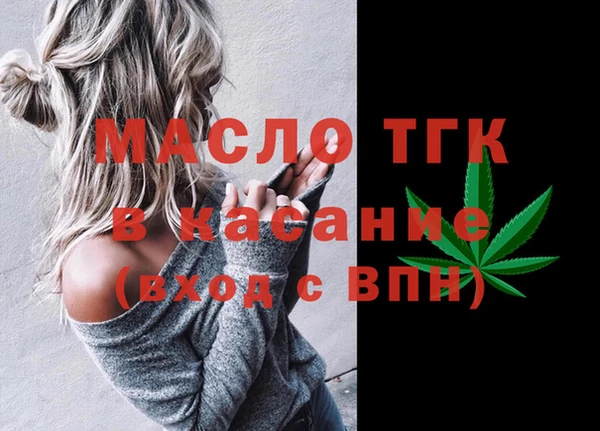 шишки Гусев