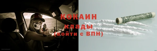 стаф Горняк