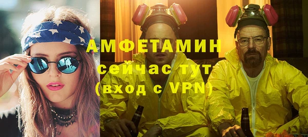 шишки Гусев