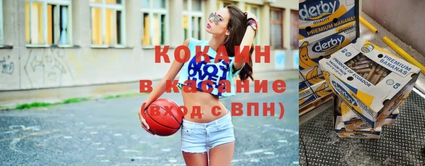стаф Горняк