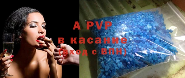 стаф Горняк